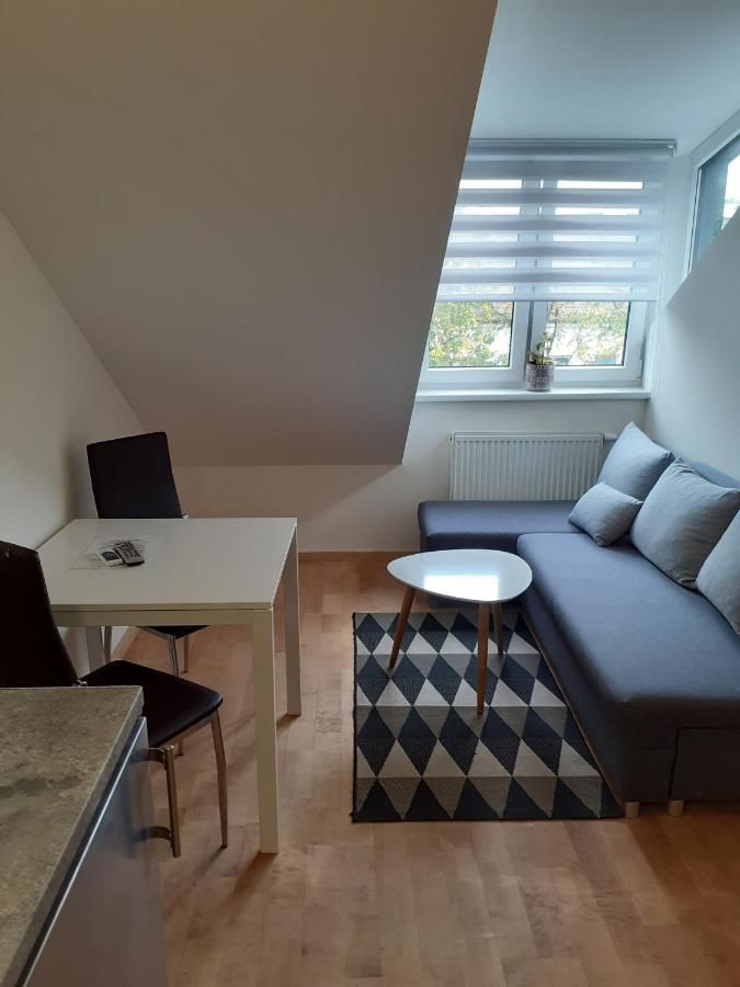 Апартаменты Attic rooms at Laisves avenue Каунас